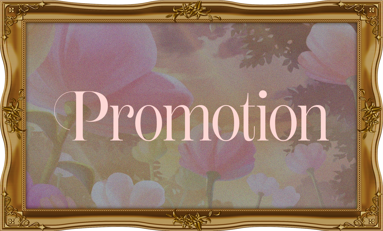 その他プロモーションのフレーム