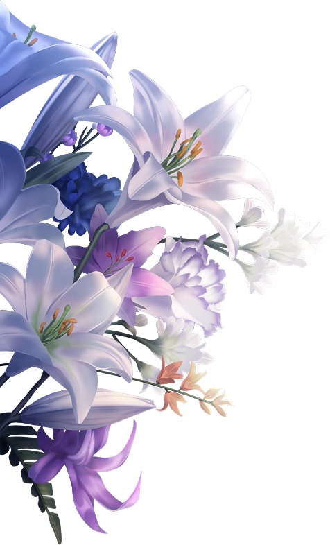 魔法使いの約束 6周年特設サイト